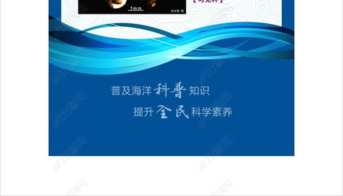 藍(lán)色海洋科普圖文展易拉寶設(shè)計(jì)全攻略 從創(chuàng)意到成品的視覺盛宴